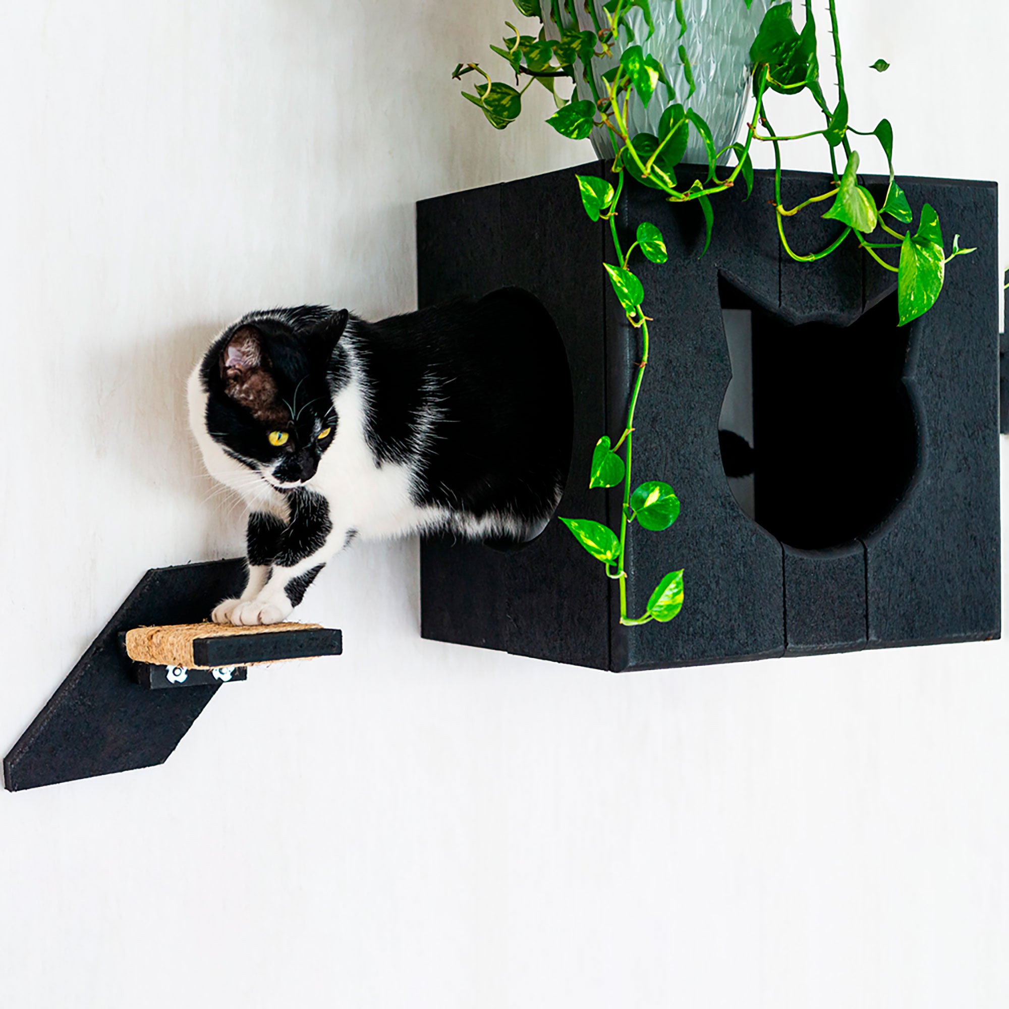 Gimnasio para Gatos EkoCat